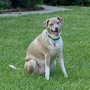 Meet your Posher, Eva